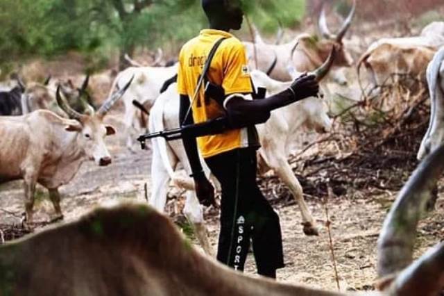 Massacre de bergers peuls près de la frontière nigériane
